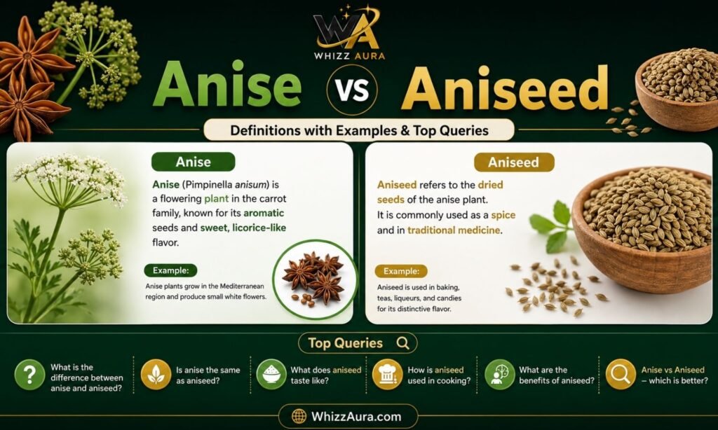 Anise vs Aniseed: Definitions with Examples & Top Queries