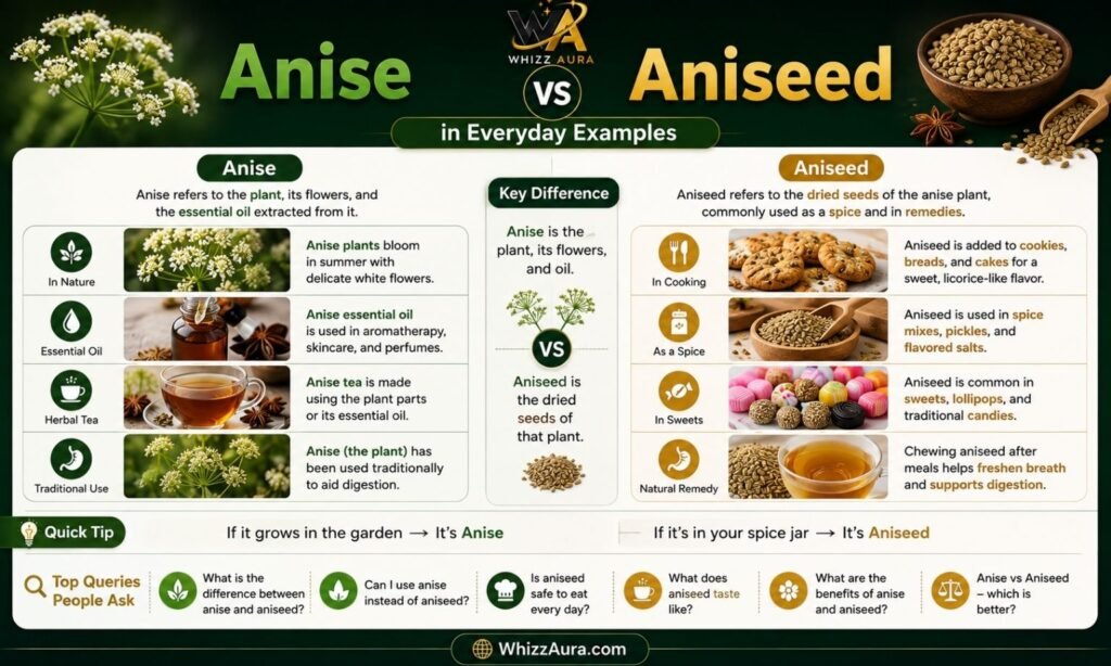 Anise vs Aniseed in Everyday Examples